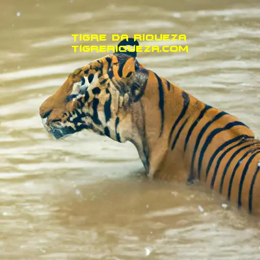 Crenças e tradições